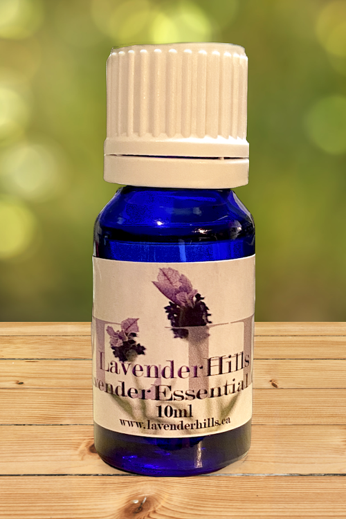 Lavender Essential Oil 10mL